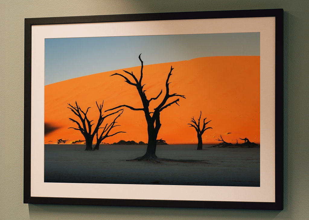 Los majestuosos árboles