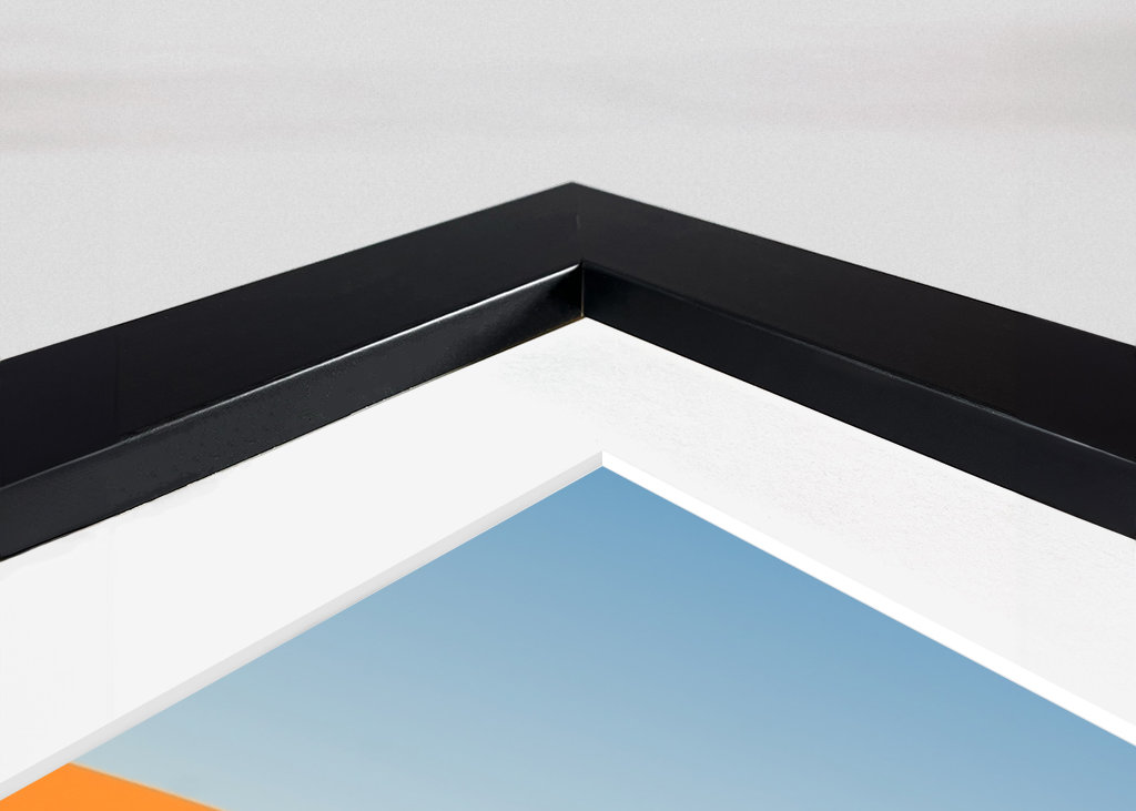 Los majestuosos árboles