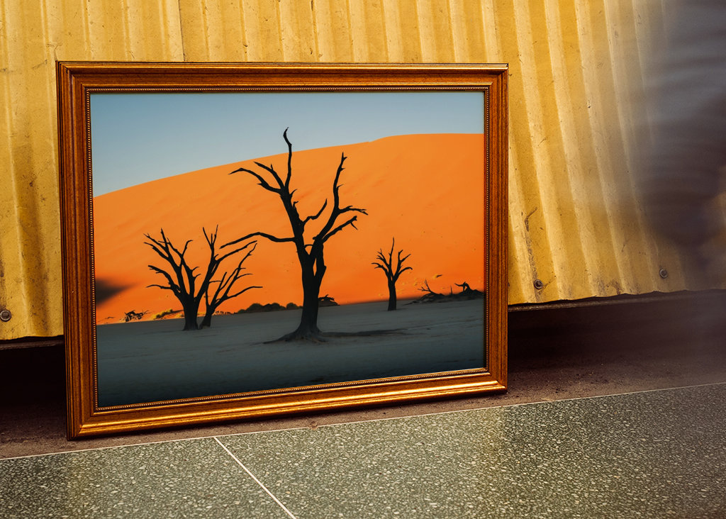 Los majestuosos árboles