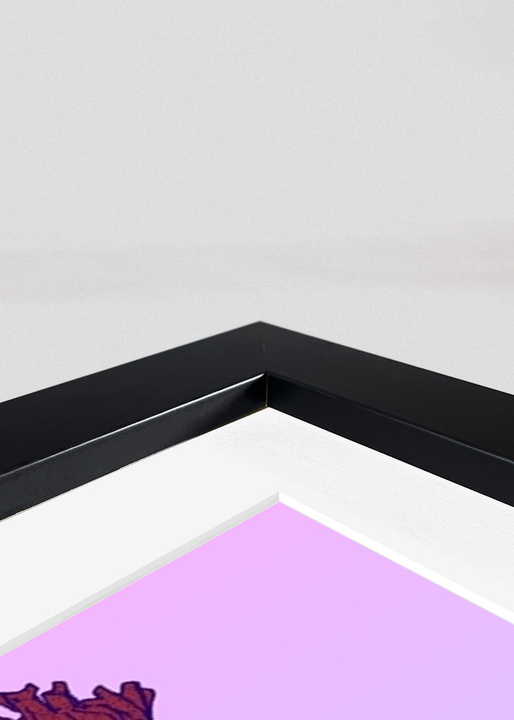 Trelogi Dorohedoro Kunst