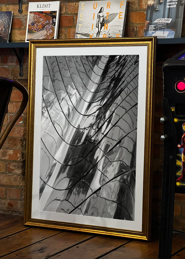 Vivid Reflections v. B&W