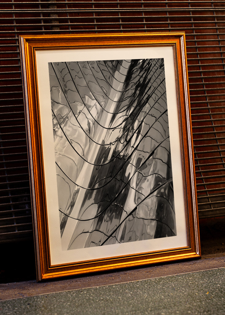 Vivid Reflections v. B&W