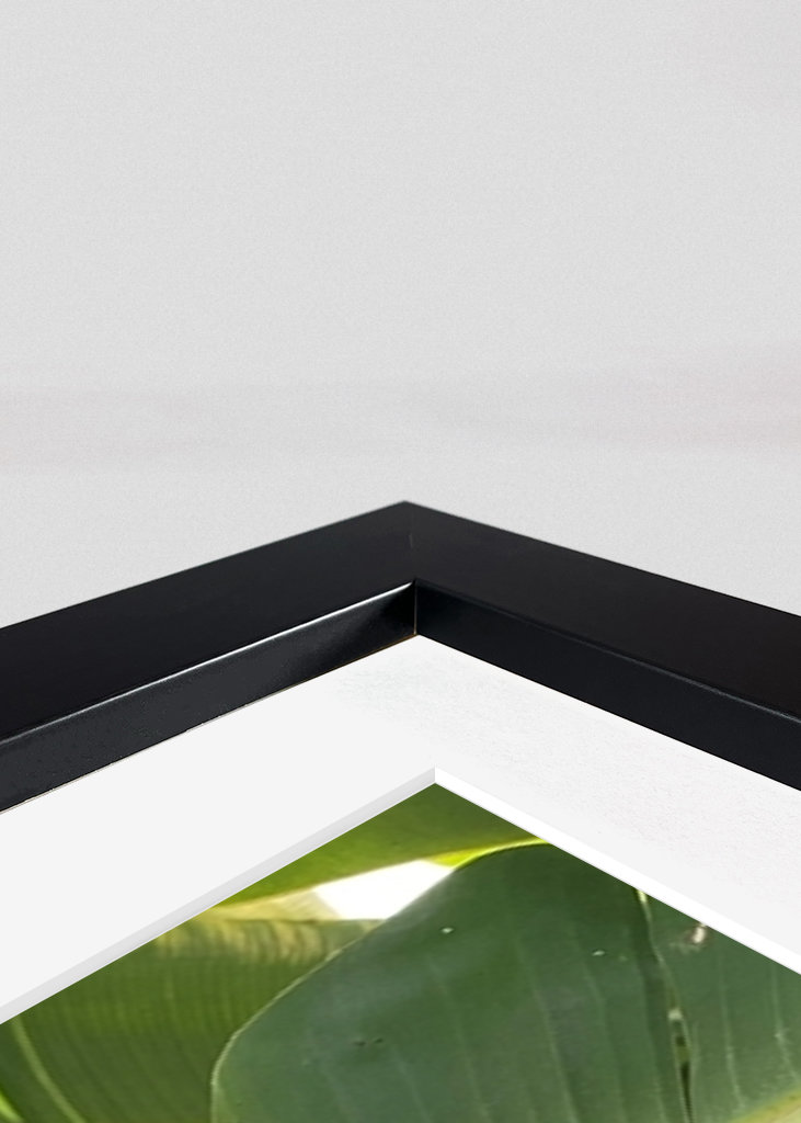 Banana Tree in Thailand