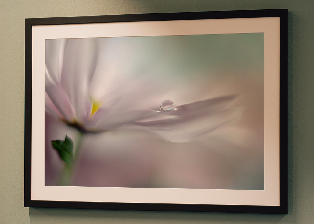 Hvor drømme går i opfyldelse