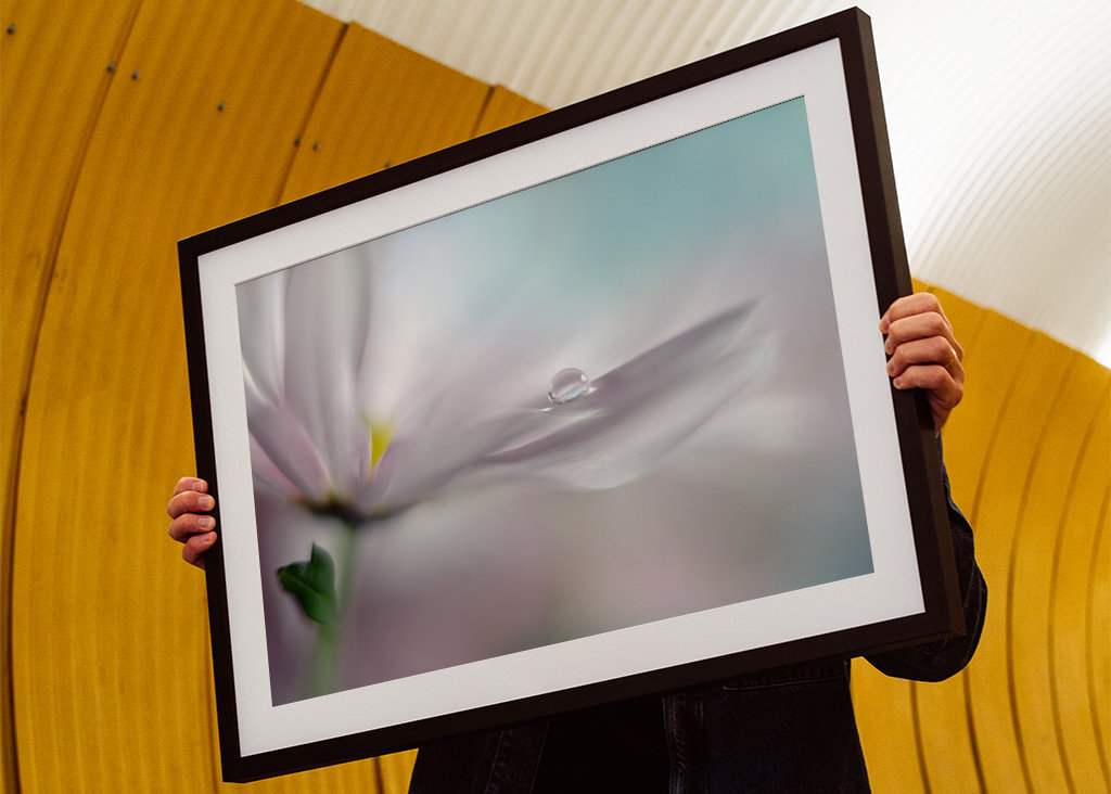 Hvor drømme går i opfyldelse