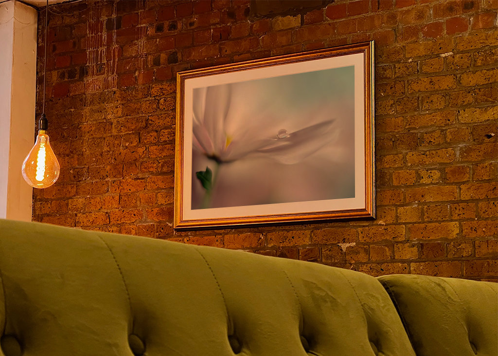 Hvor drømme går i opfyldelse