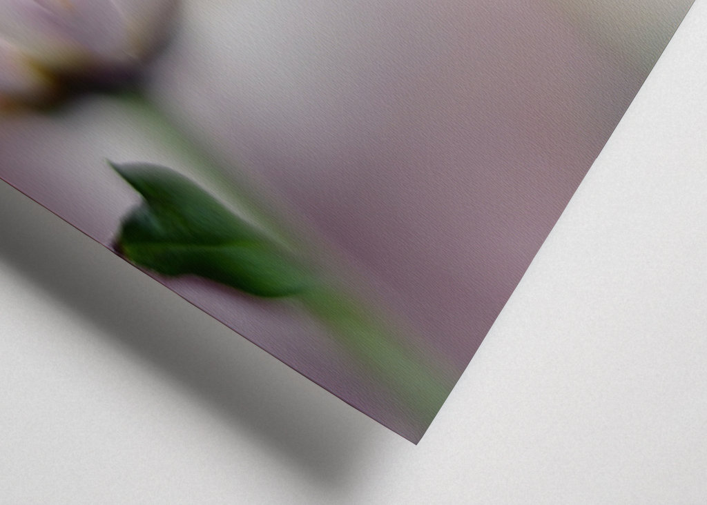 Hvor drømme går i opfyldelse