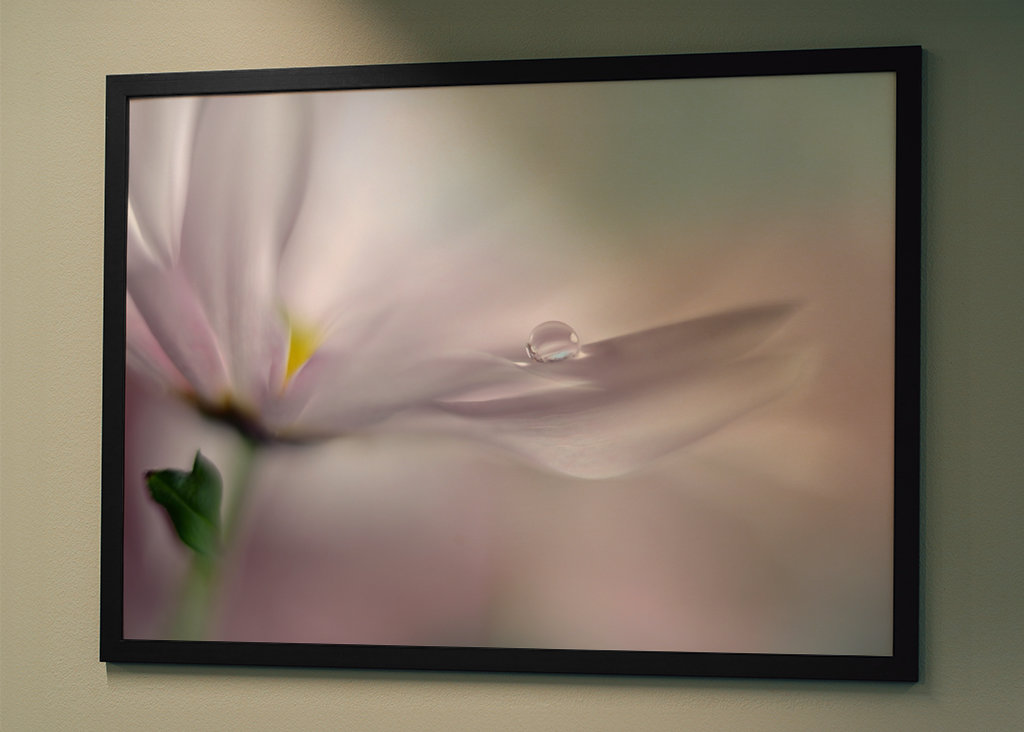 Hvor drømme går i opfyldelse