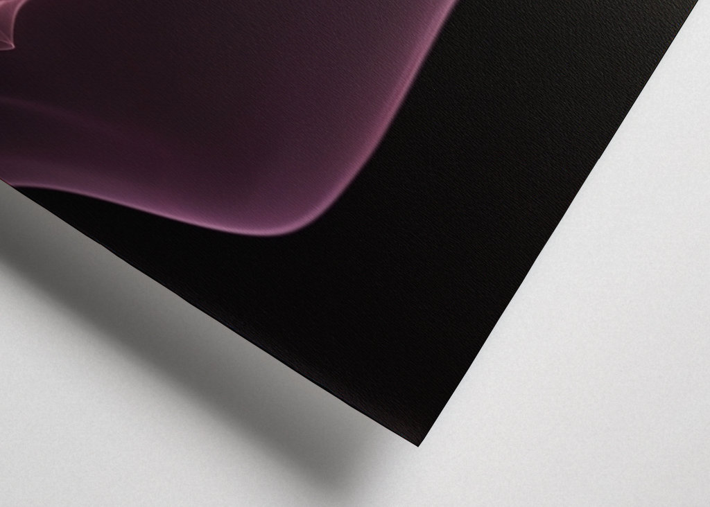 Plovoucí fialová v růžové