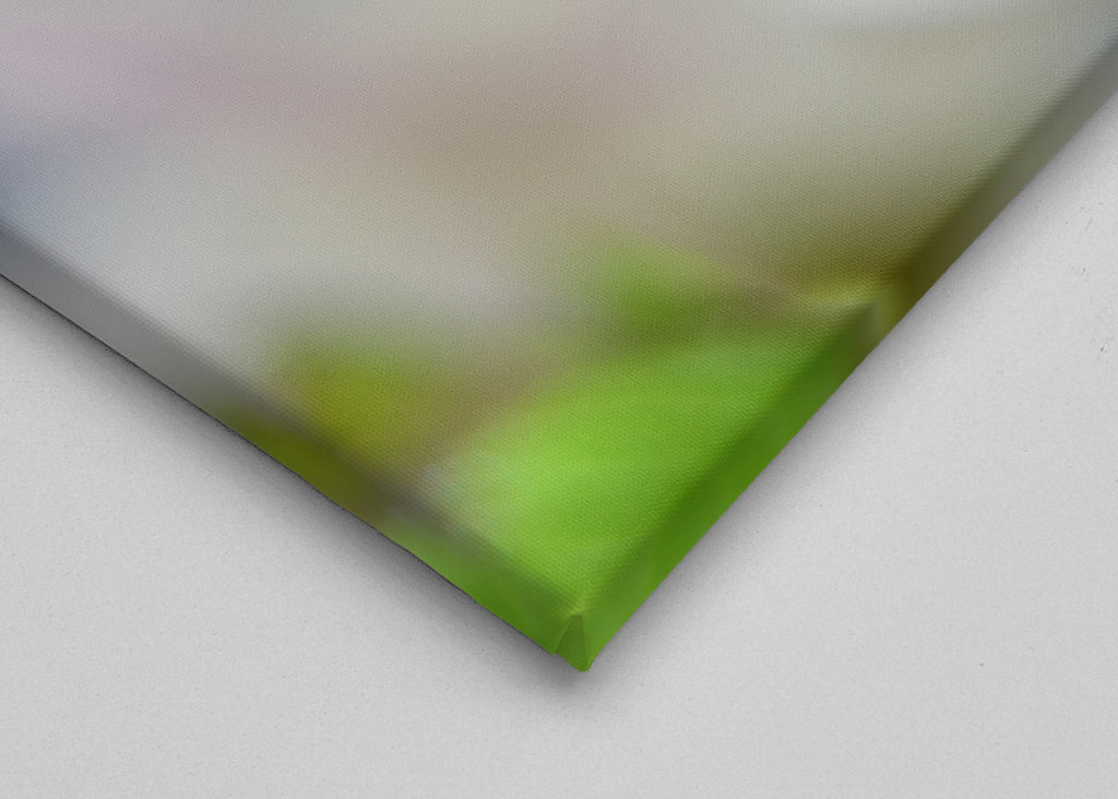 Lilla forår. Lille forår