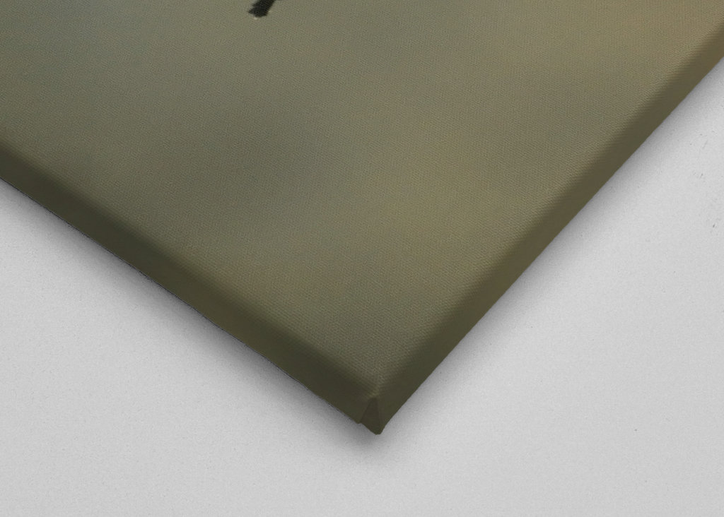 L’aube sur le marais