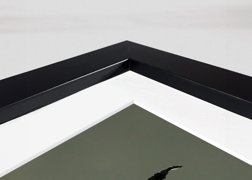 L’aube sur le marais