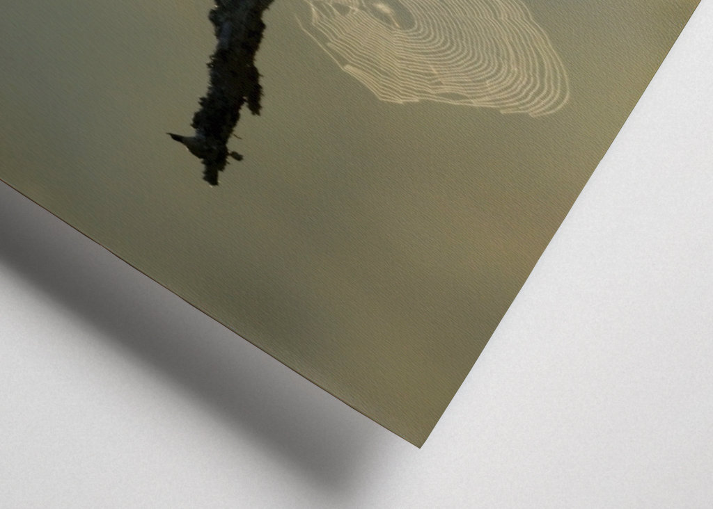 L’aube sur le marais