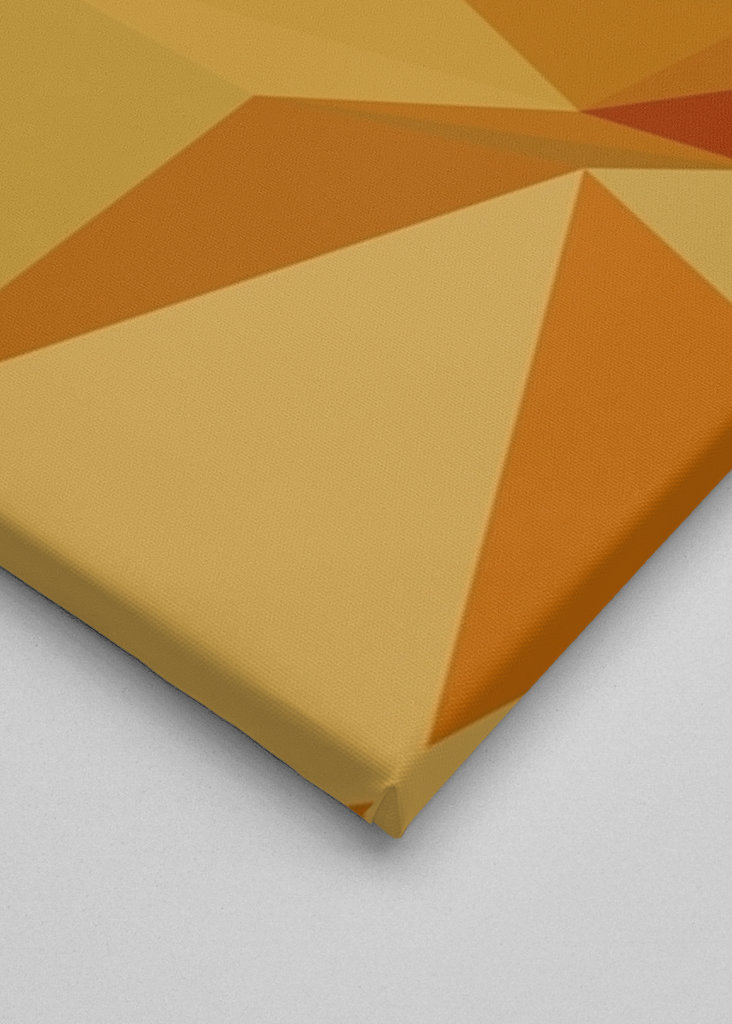 Meme di Doge nella pop art lowpoly