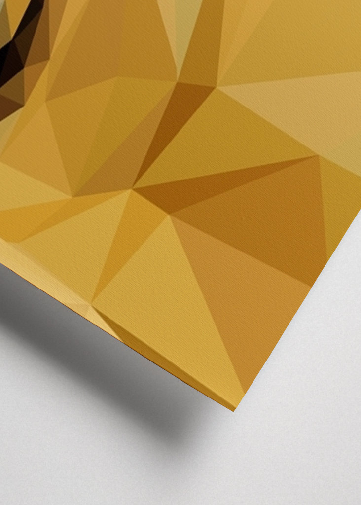 Meme di Doge nella pop art lowpoly