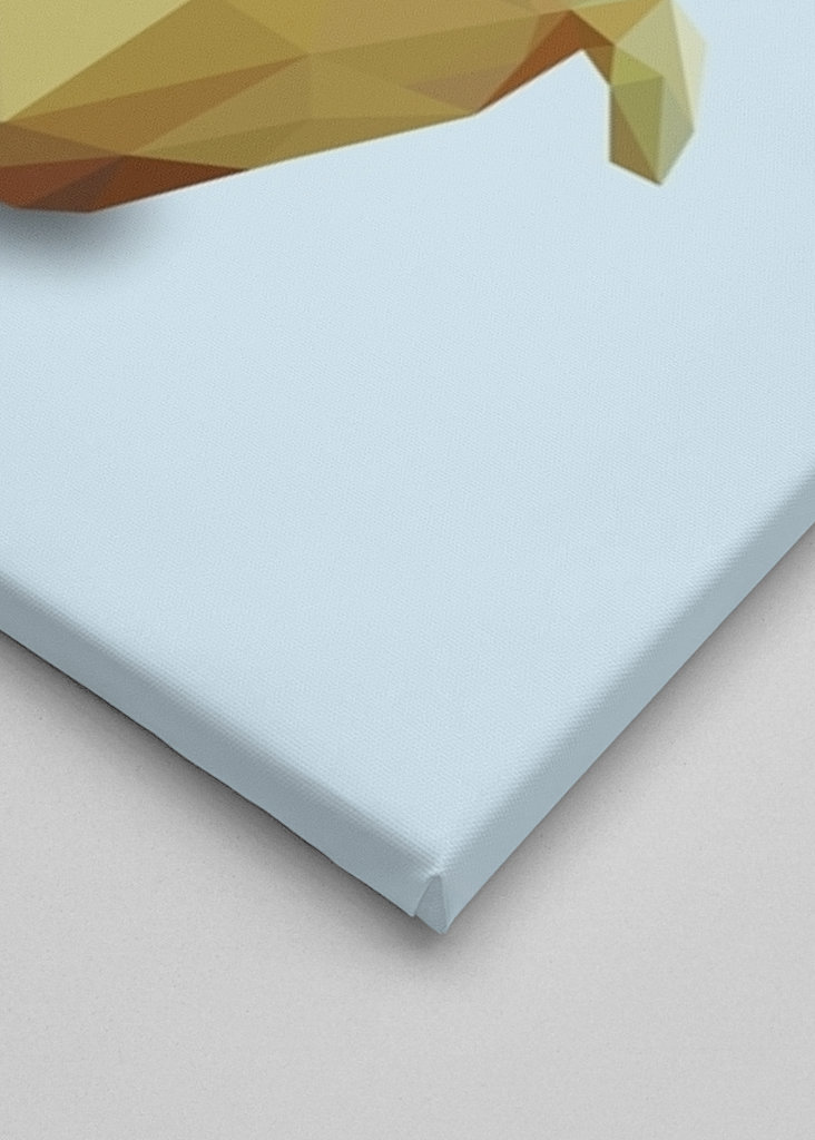 don't duck with me meme