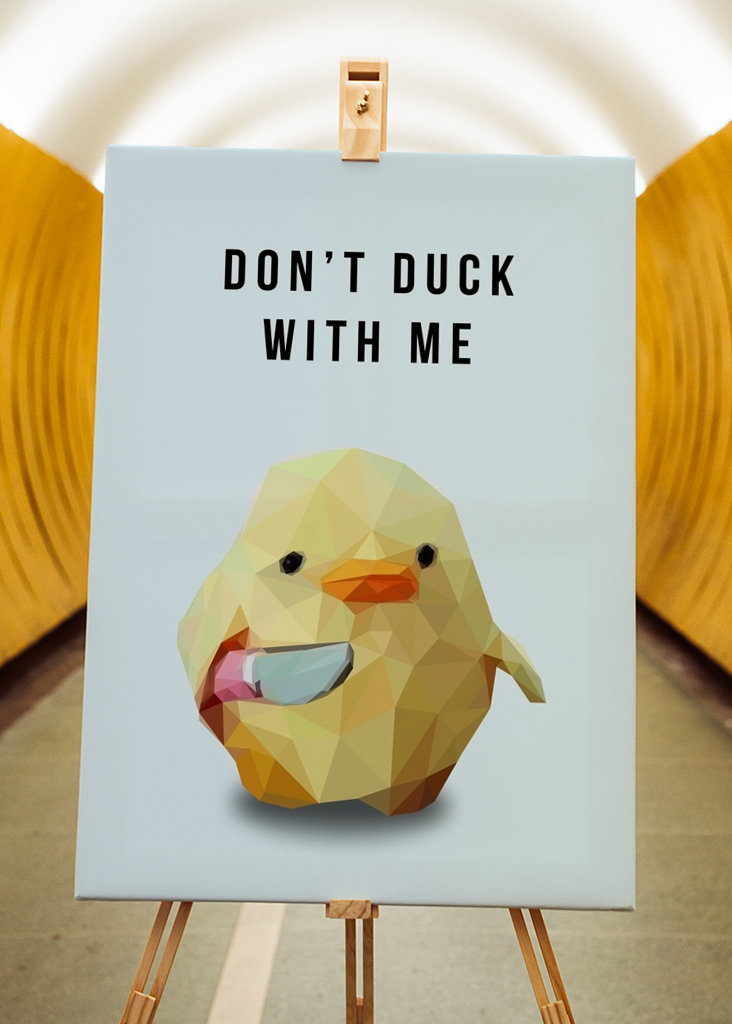 don't duck with me meme
