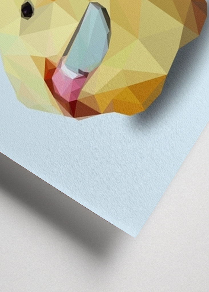 don't duck with me meme