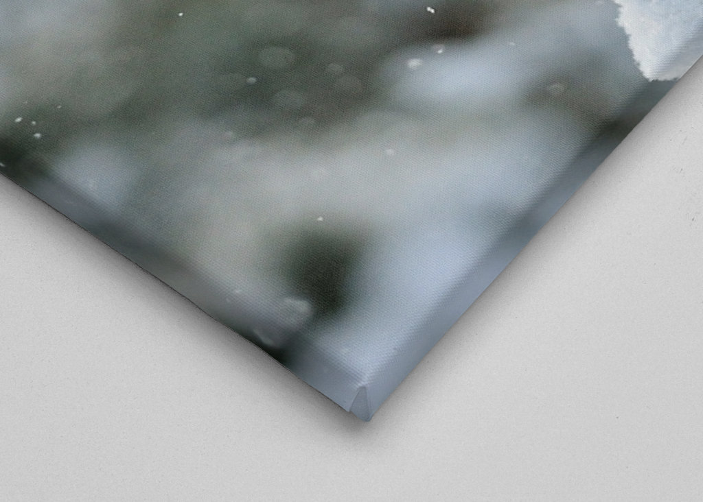 Aigle royal dans le paysage hivernal