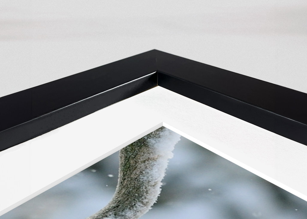 Aigle royal dans le paysage hivernal