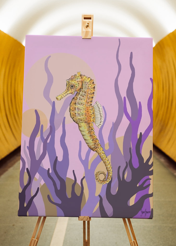 Sjøhest i tang og tare.