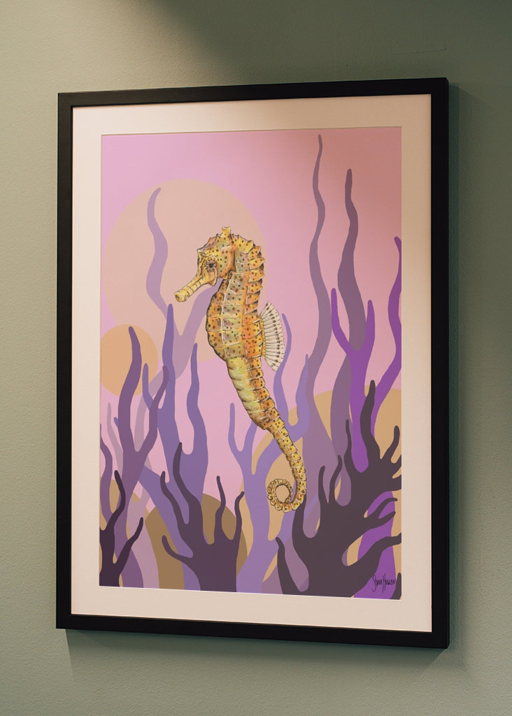 Sjøhest i tang og tare.