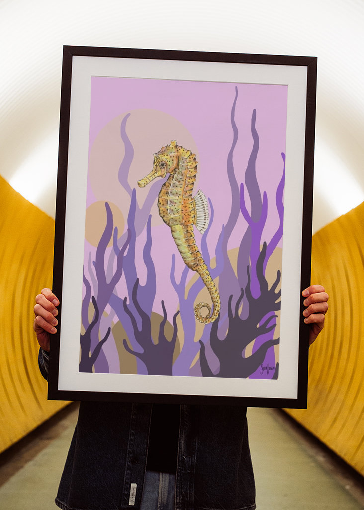 Sjøhest i tang og tare.