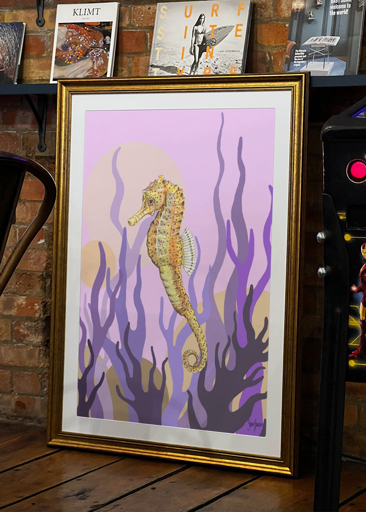 Sjøhest i tang og tare.