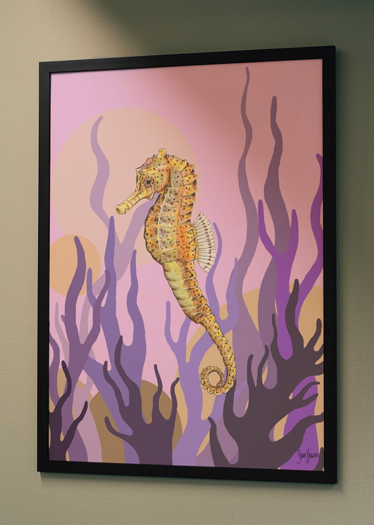 Sjøhest i tang og tare.