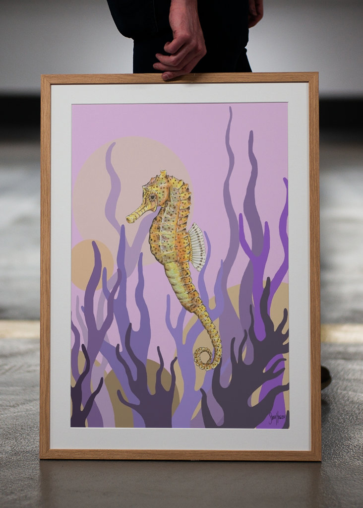 Sjøhest i tang og tare.