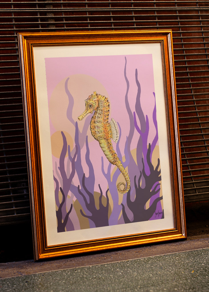 Sjøhest i tang og tare.