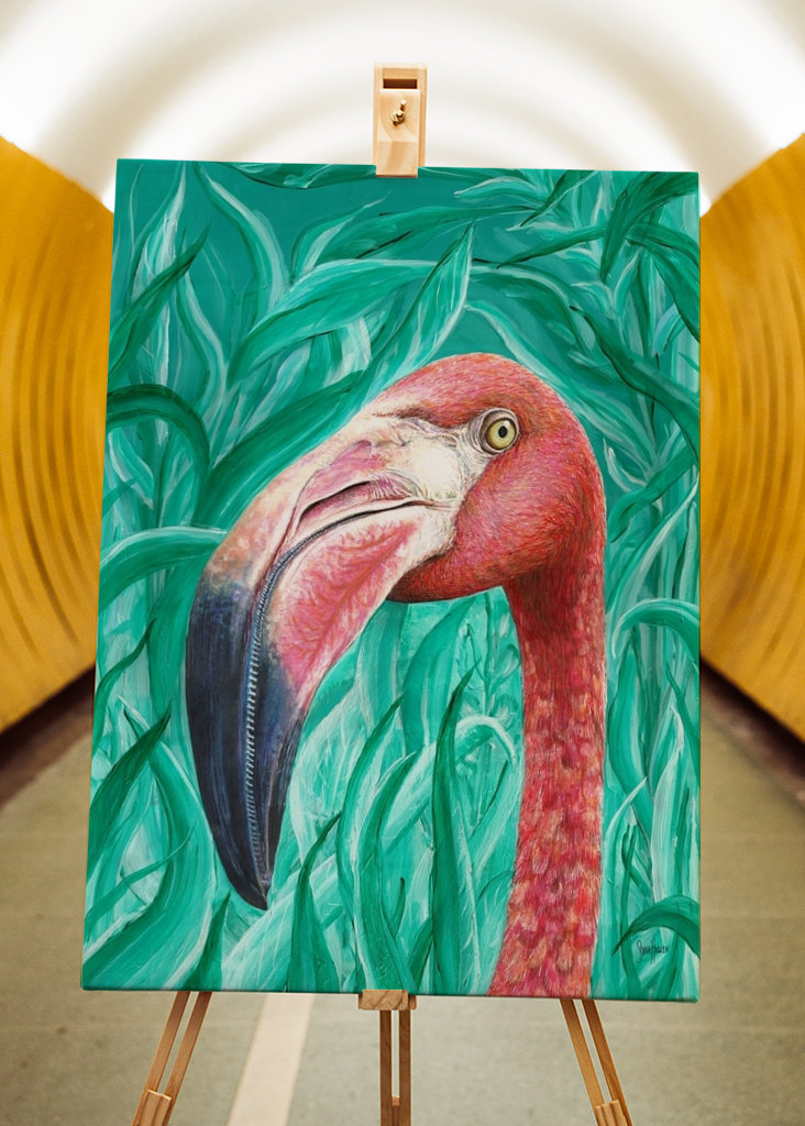 Flamingo.