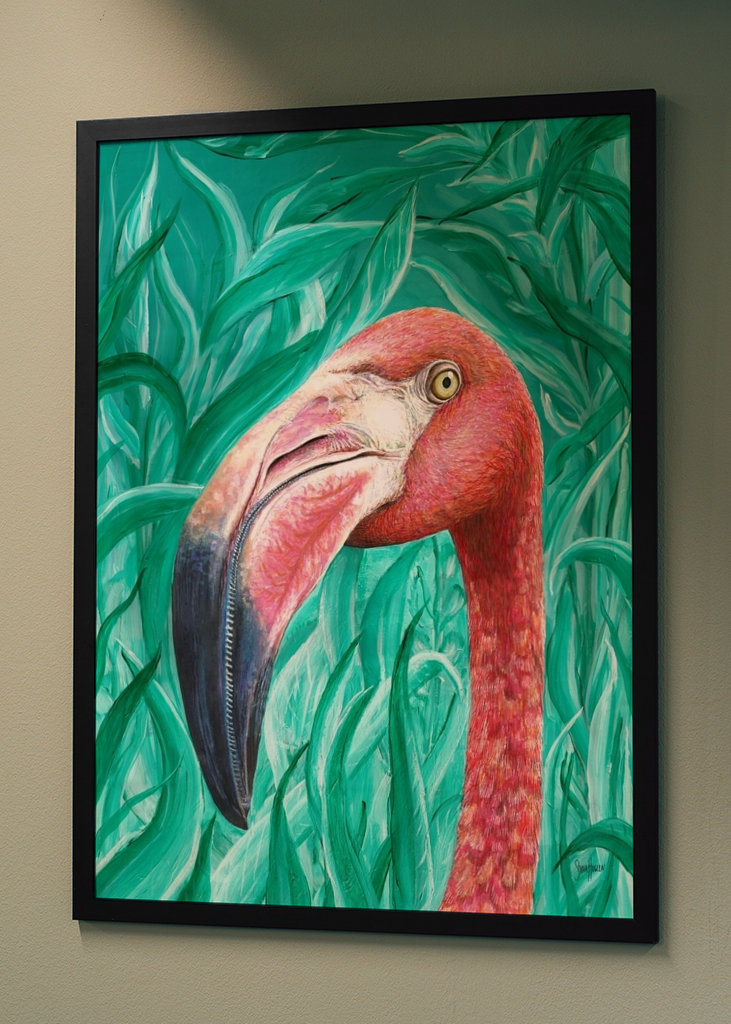 Flamingo.