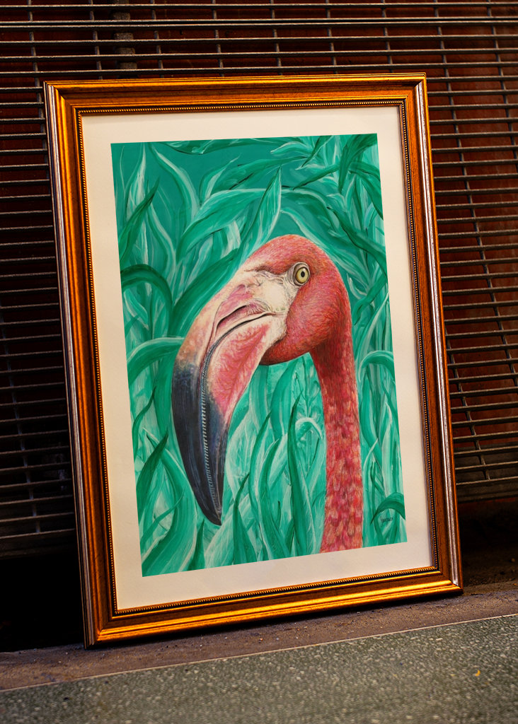 Flamingo.