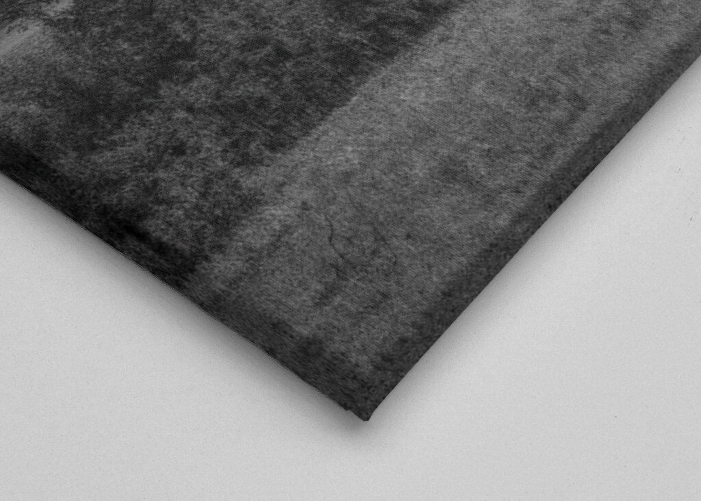 Fjällgården (Horská farma)