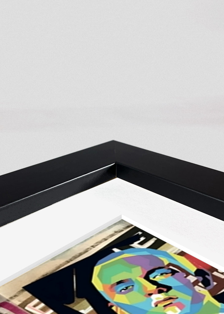 Slim Shady - Role Model