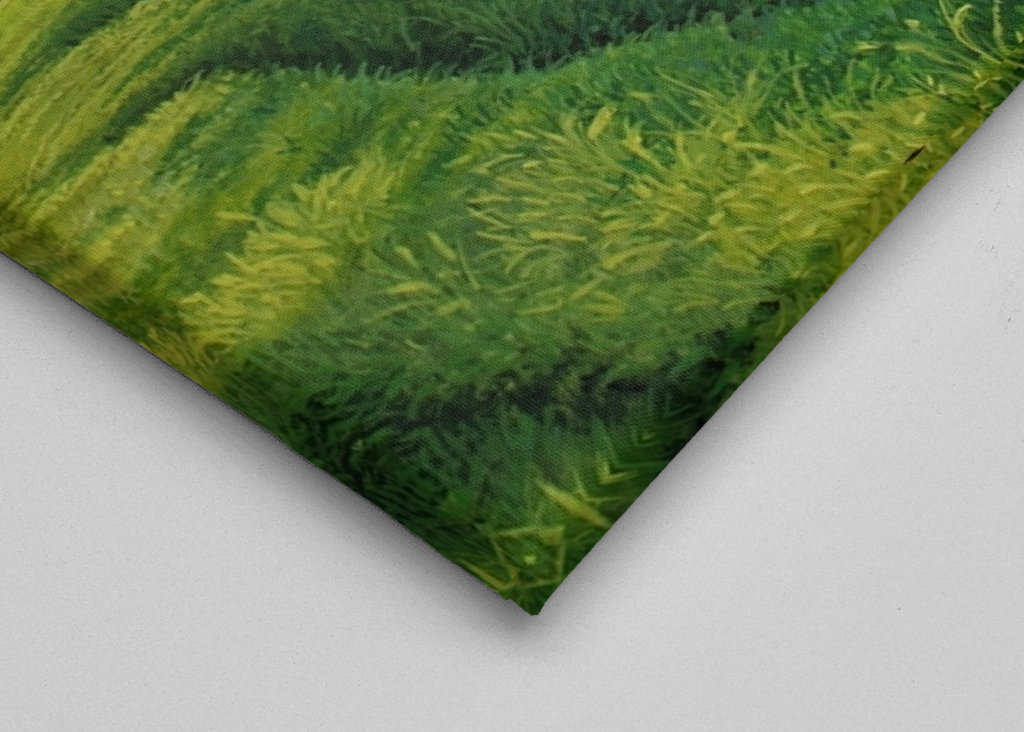 Késő nyár a tónál