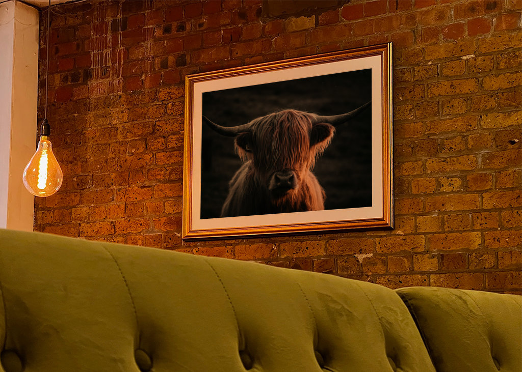 Skotlannin ylämaan karja Solnedissa