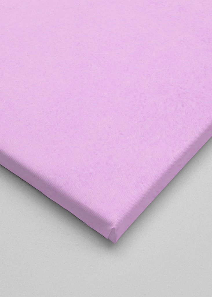 Stolthet utan fördomar - Rosa