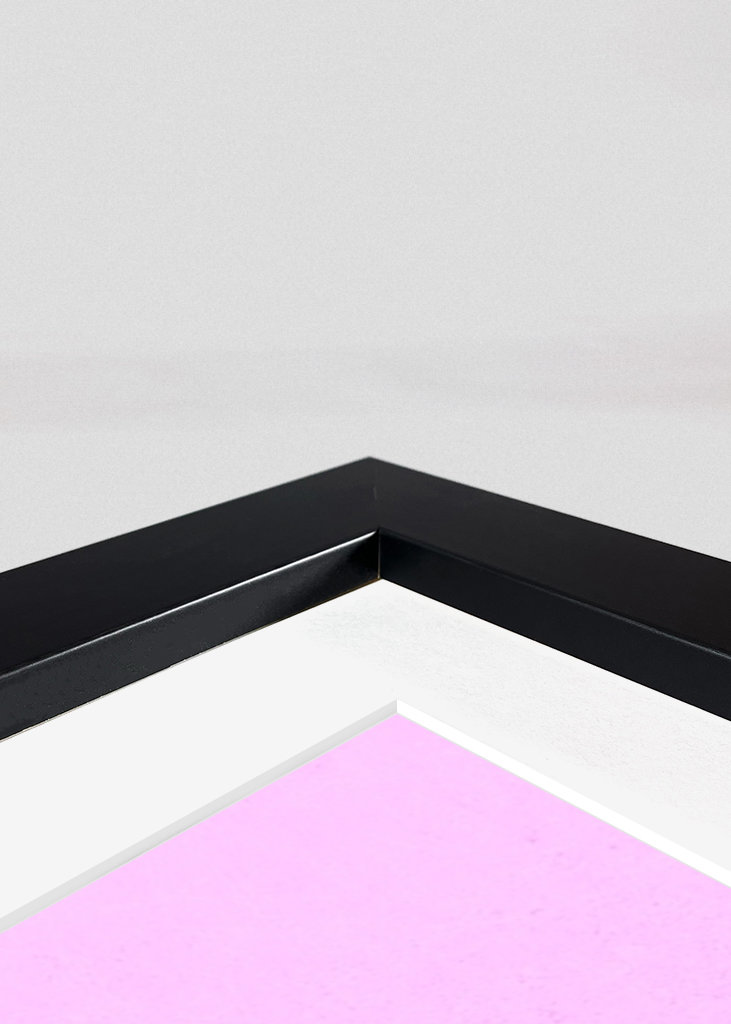 Stolthet utan fördomar - Rosa