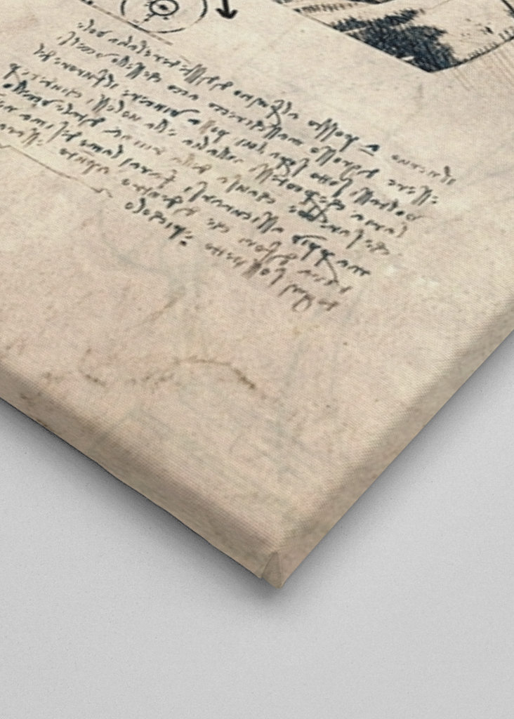 Haalands smidighedshemmeligheder