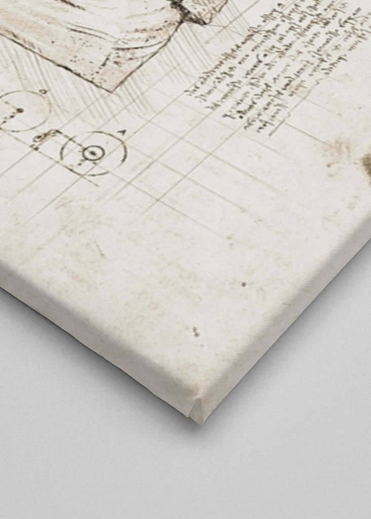 Teori om Erling Haaland