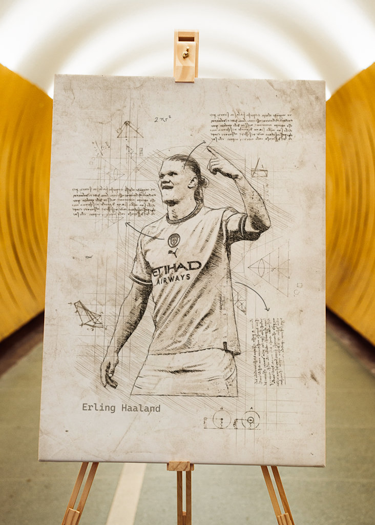 Teori om Erling Haaland