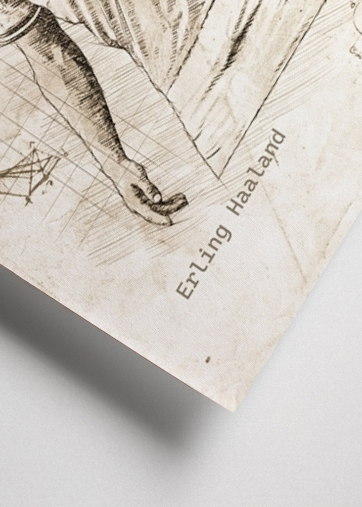 Teori om Erling Haaland