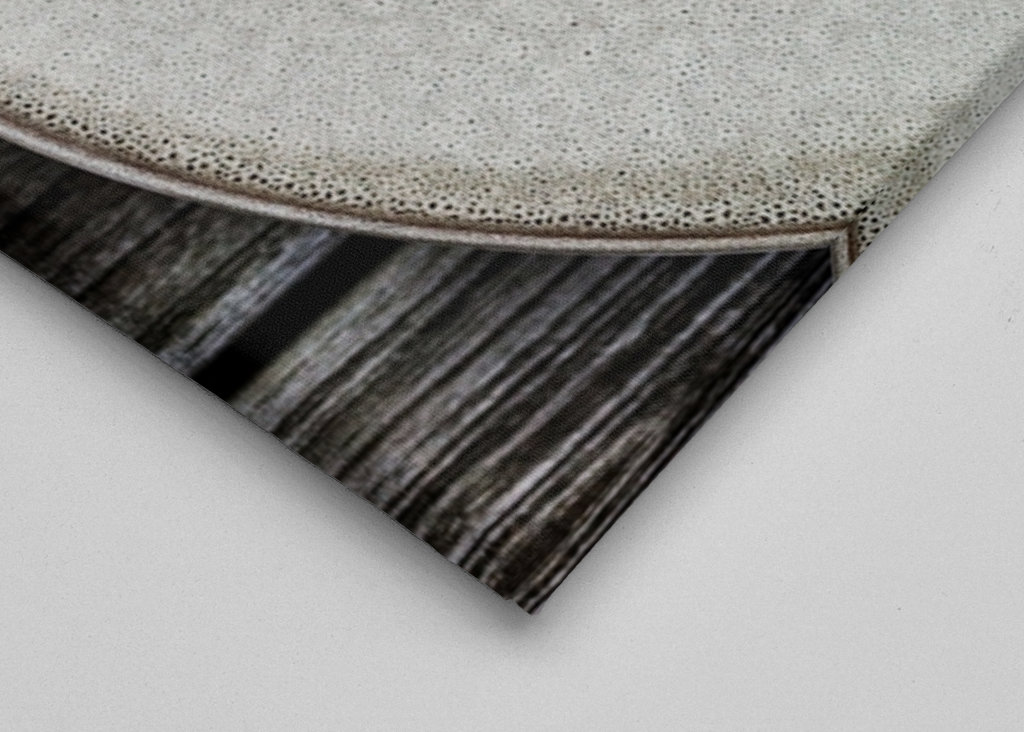 Salade d’été colorée