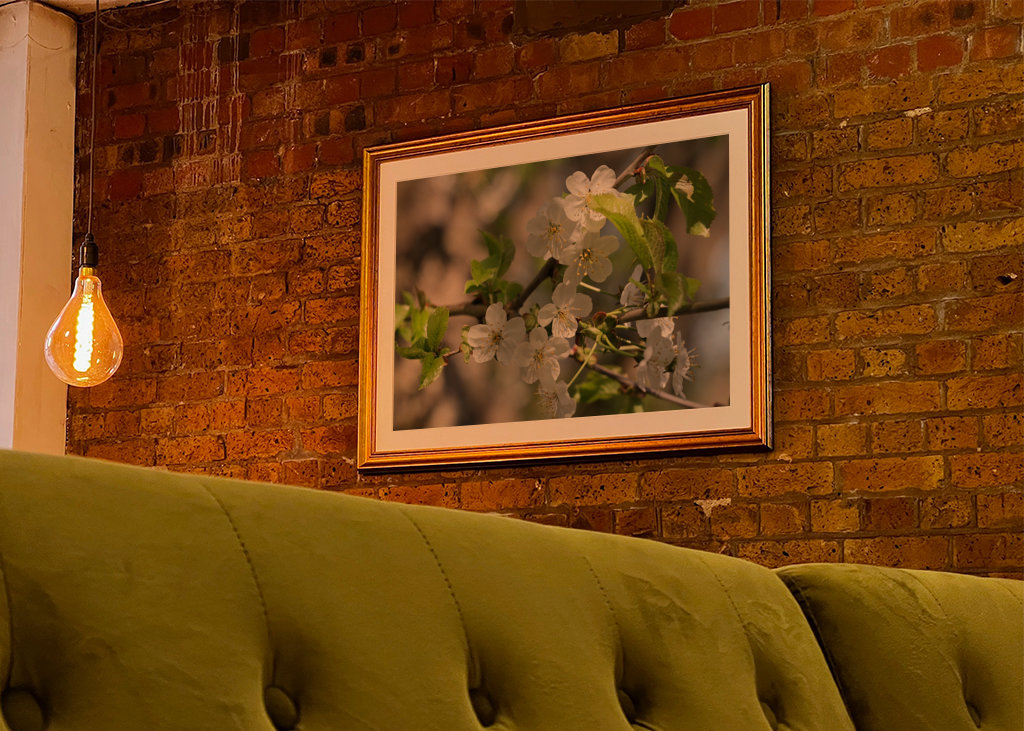 Vakker vårblomstring