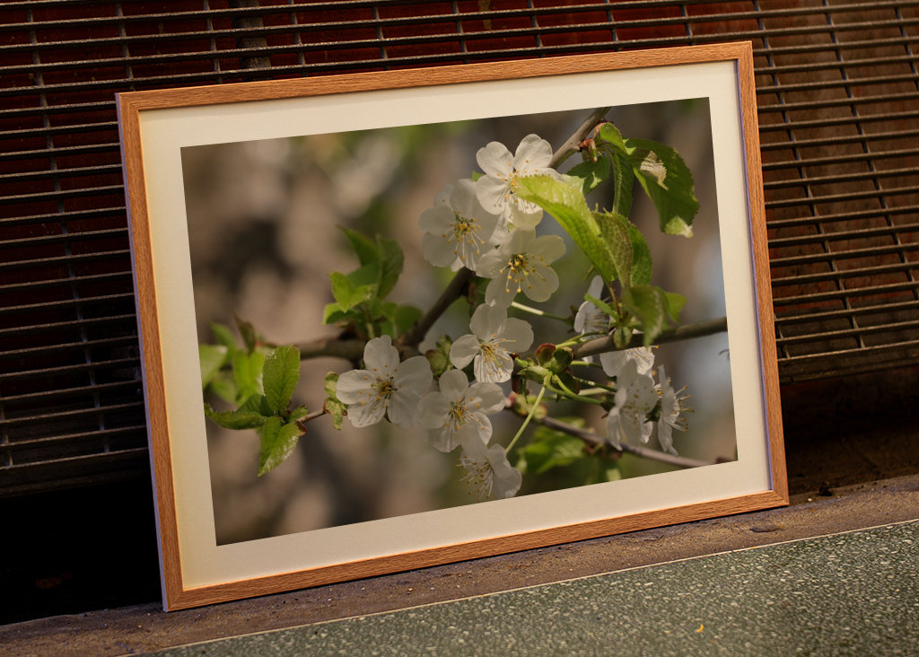 Vakker vårblomstring