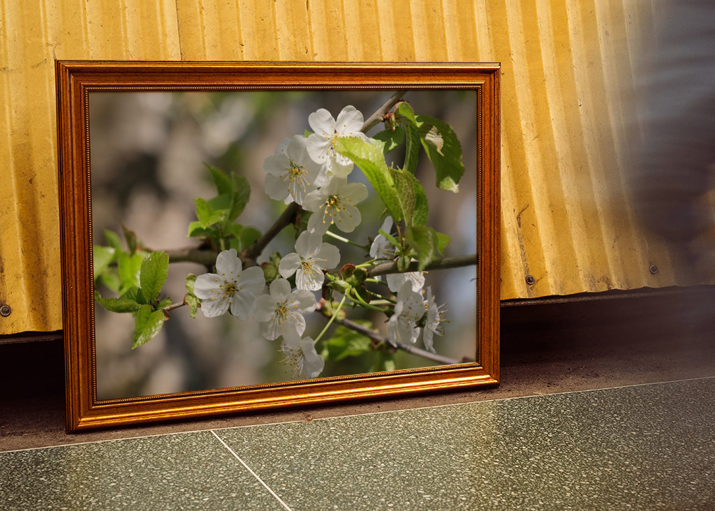 Vakker vårblomstring