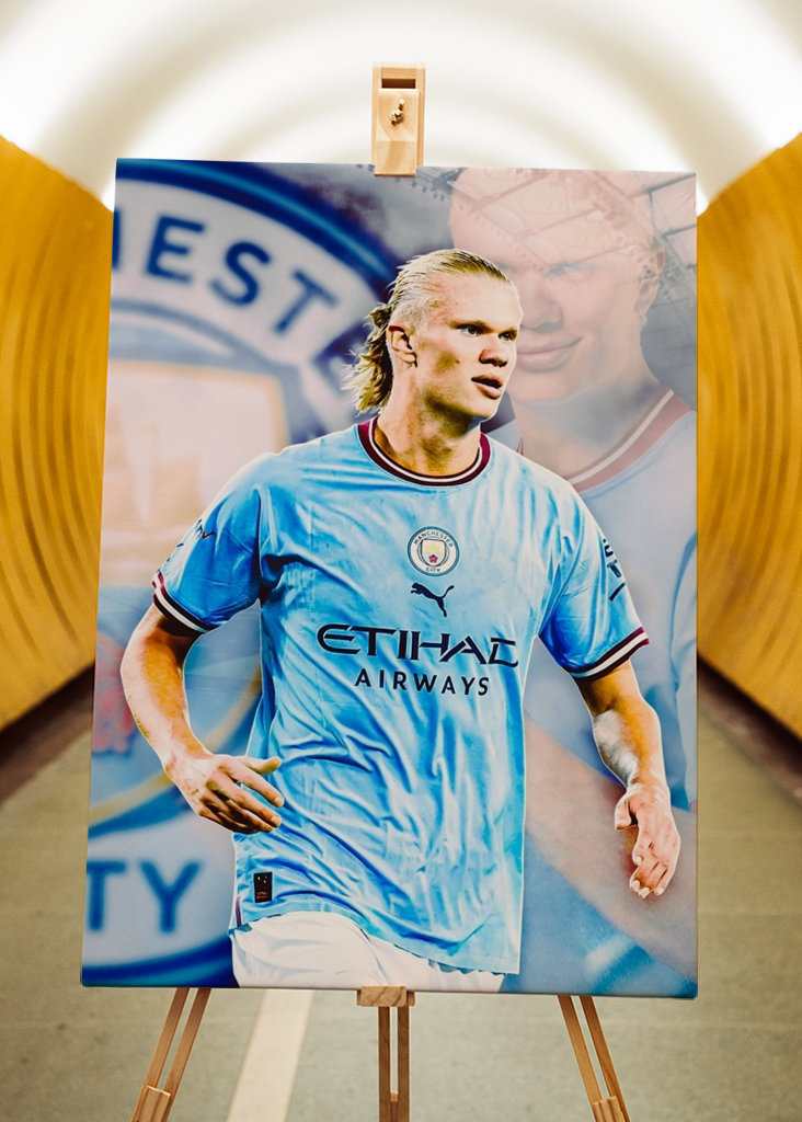 Erling Haaland Best Potrait 