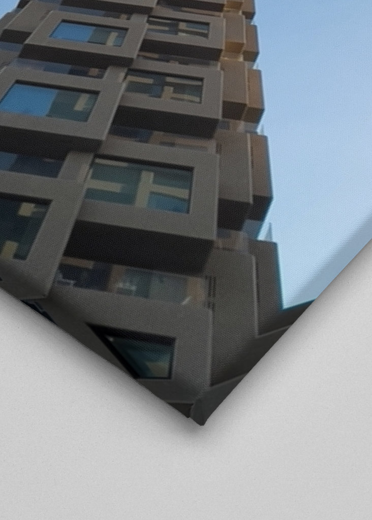 Severní věže a pták